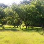 En Ancud, Vende Terreno de 2 hectáreas, con 2 Casas e Instalaciones.